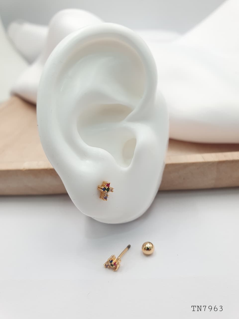 Topo de seguridad en Rodio SEG19