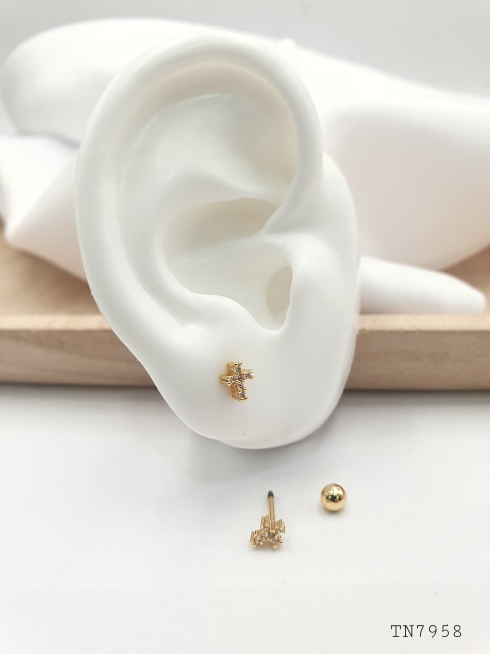 Topo de seguridad en Rodio SEG024