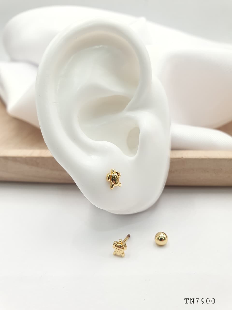 Topo de seguridad en Rodio SEG023