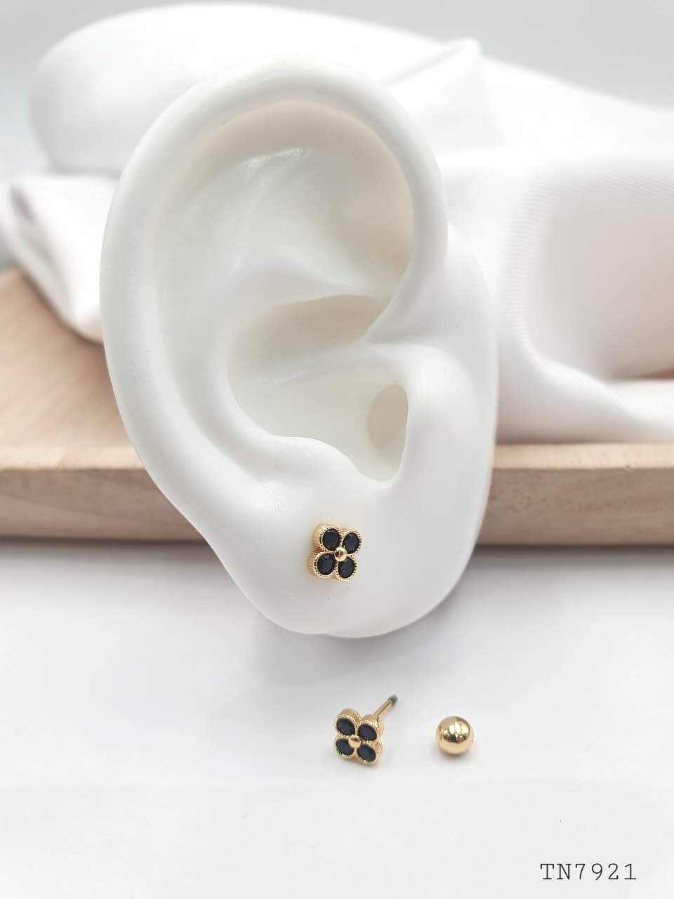 Topo de seguridad en Rodio SEG026