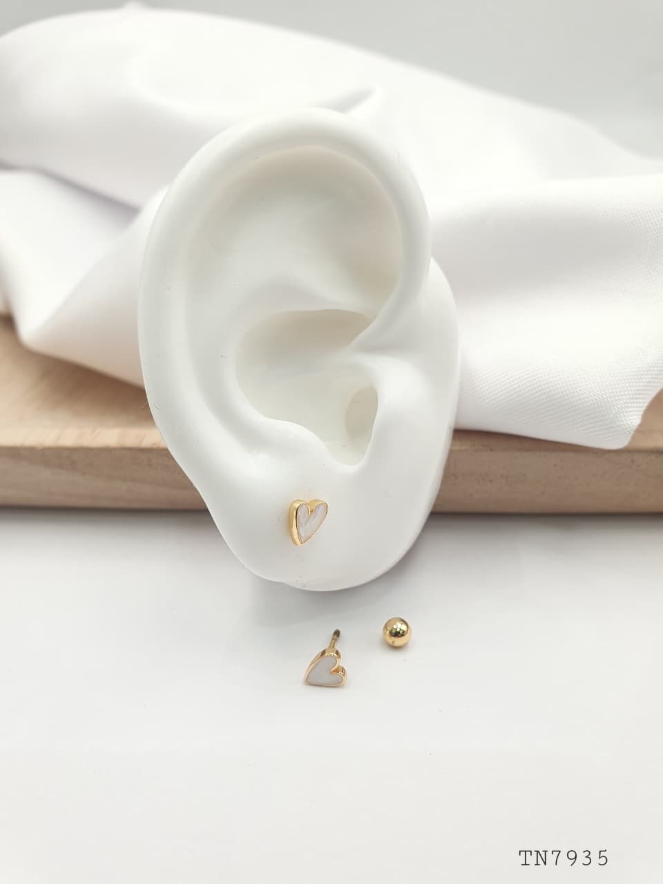 Topo de seguridad en Rodio SEG029