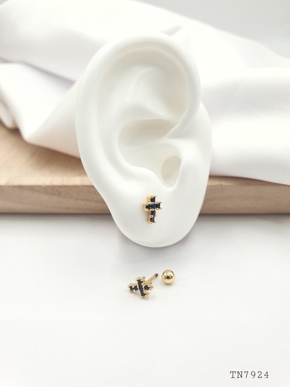 Topo de seguridad en Rodio SEG033