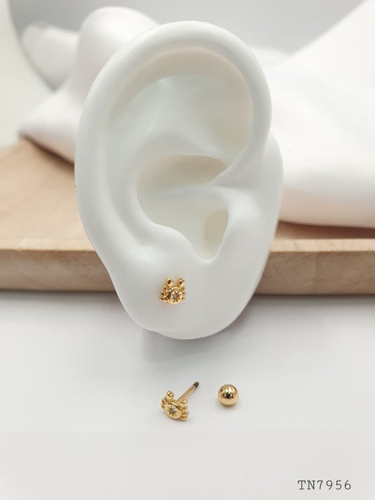 Topo de seguridad en Rodio SEG11