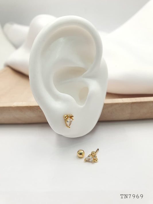 Topo de seguridad en Rodio SEG15