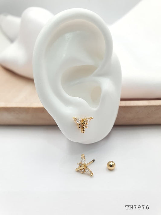 Topo de seguridad en Rodio SEG14