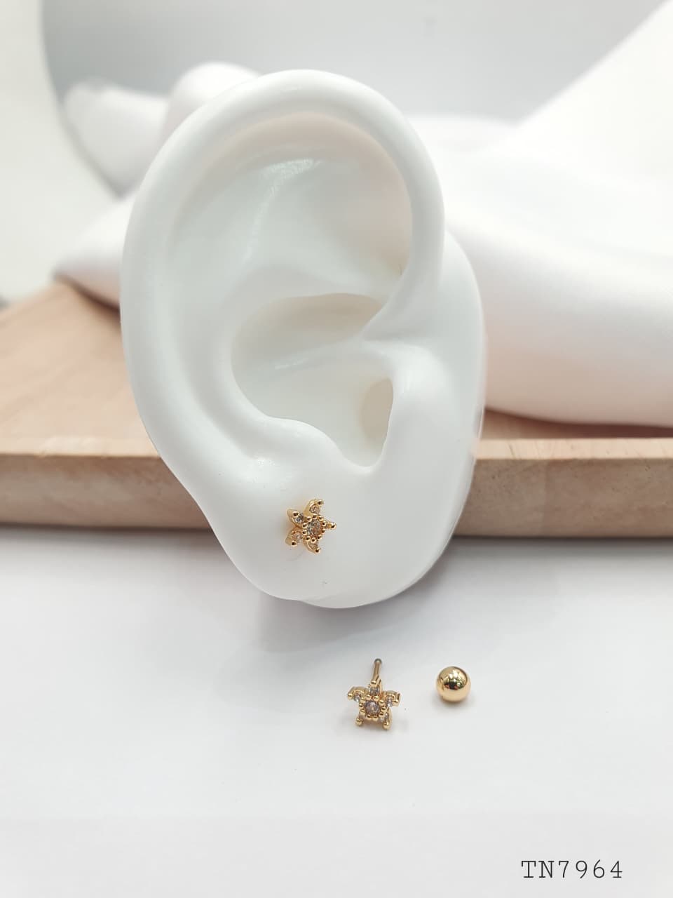 Topo de seguridad en Rodio SEG07