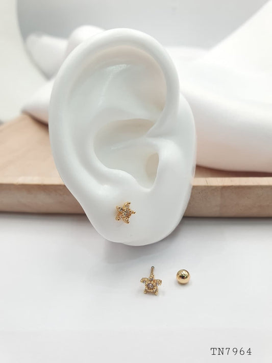 Topo de seguridad en Rodio SEG07