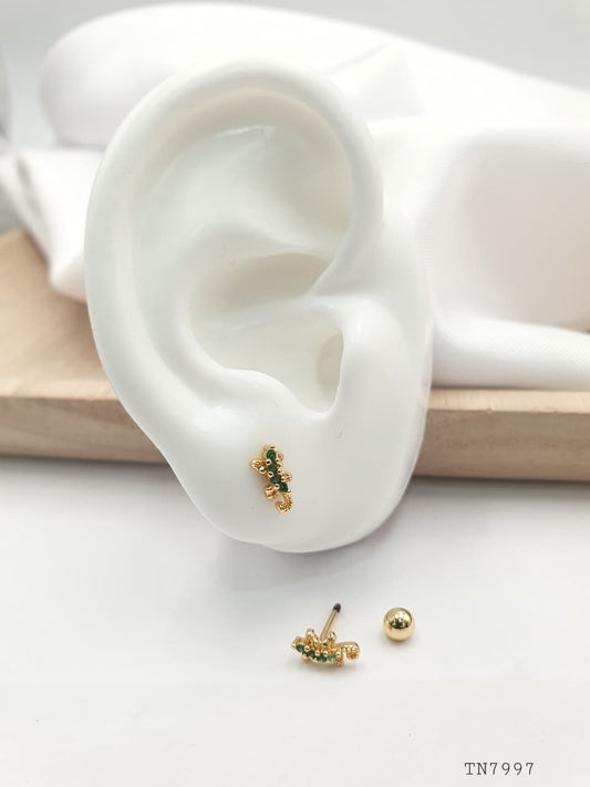 Topo de seguridad en Rodio SEG030