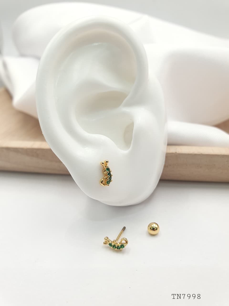 Topo de seguridad en Rodio SEG035