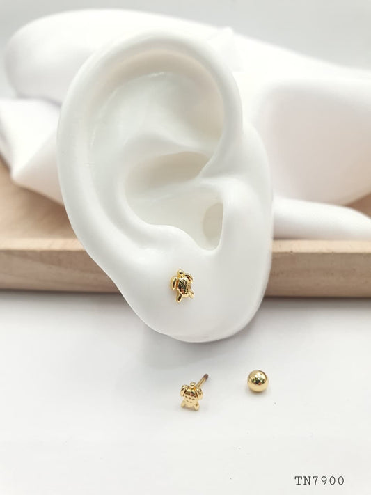 Topo de seguridad en Rodio SEG023