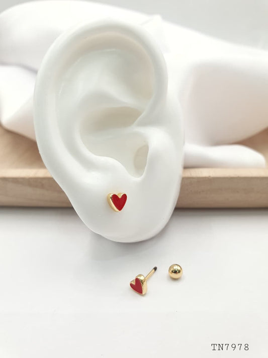 Topo de seguridad en Rodio SEG027