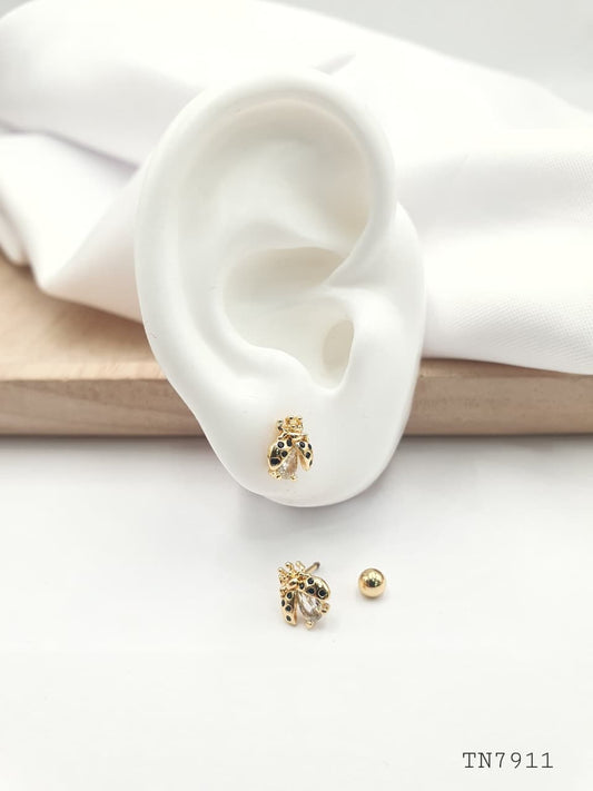 Topo de seguridad en Rodio SEG036