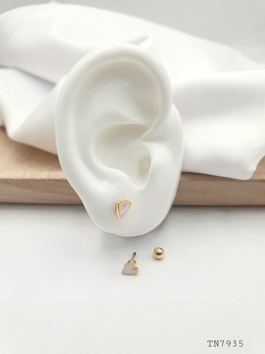 Topo de seguridad en Rodio SEG029