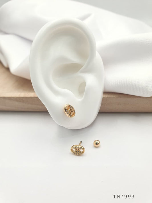 Topo de seguridad en Rodio SEG028