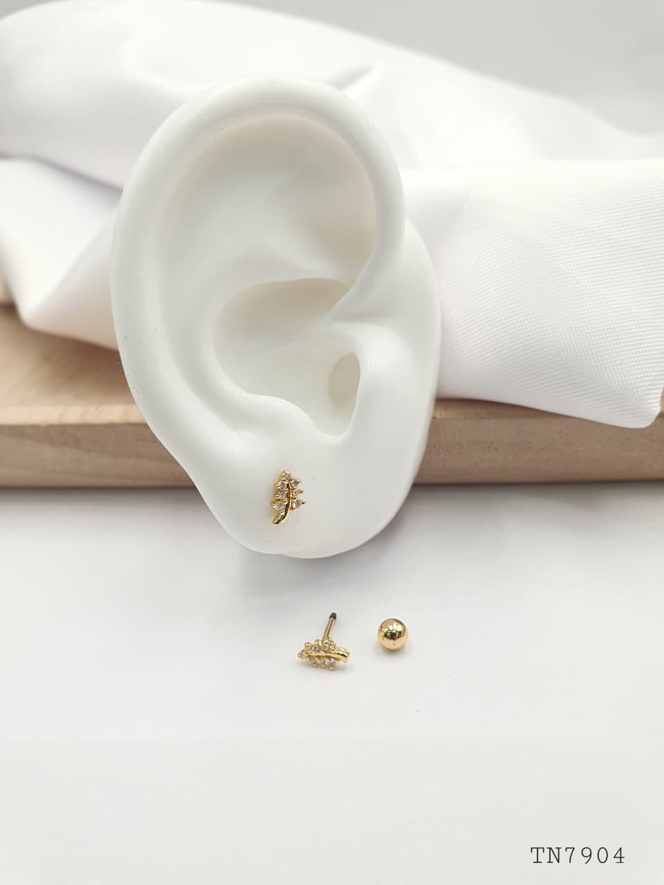 Topo de seguridad en Rodio SEG037