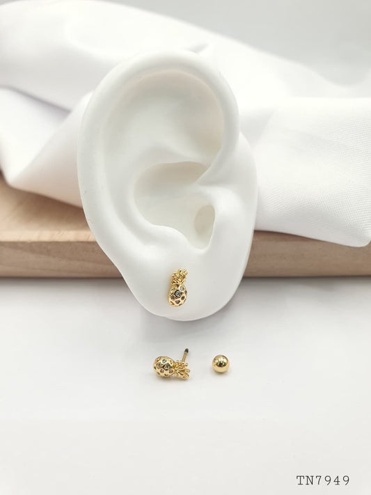 Topo de seguridad en Rodio SEG038