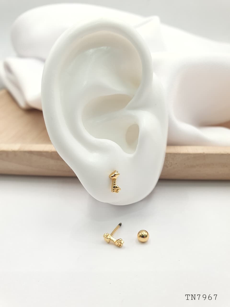 Topo de seguridad en Rodio SEG039