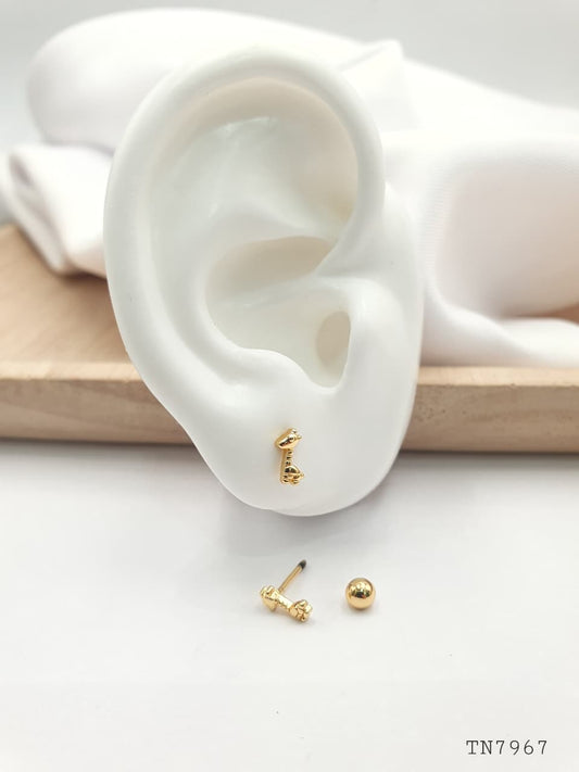 Topo de seguridad en Rodio SEG039