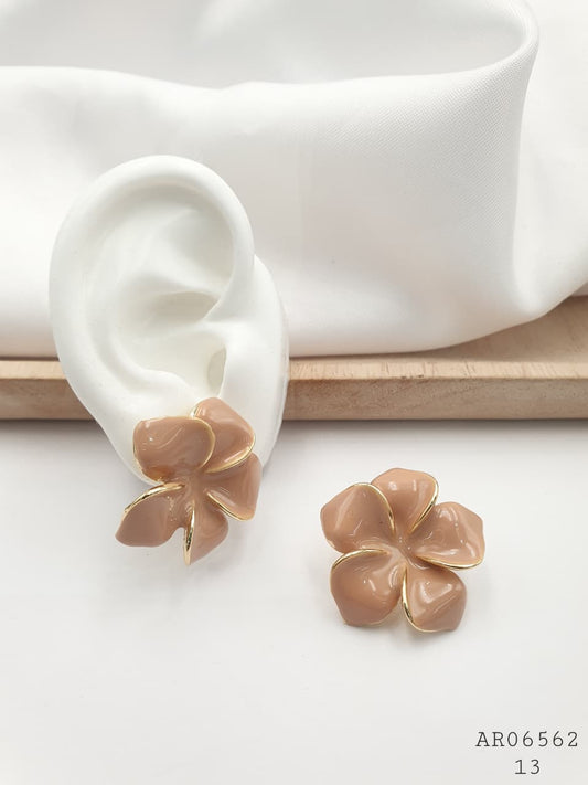 Aretes Roido AR06562